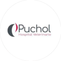 Puchol