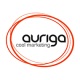 AURIGA